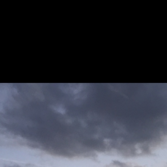 Meet your Posher, Elsie - Picture 1 of 1